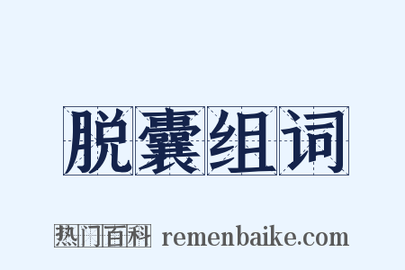 脱囊组词是什么意思的图片